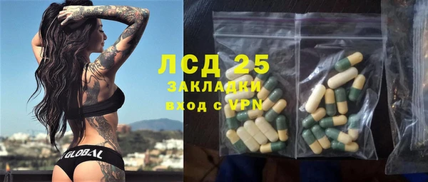 хмурый Алексин
