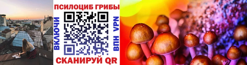 магазин продажи наркотиков  Артём  Галлюциногенные грибы Psilocybine cubensis 