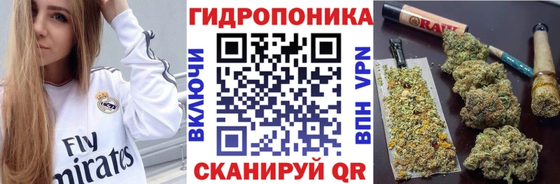 Шишки марихуана конопля  где найти наркотики  Артём 